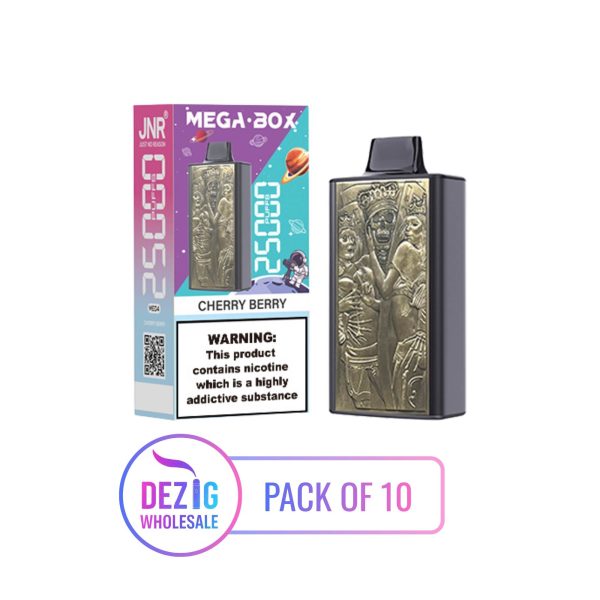 JNR – Mega Box 25K – 2 % Nikotin – Einweg Vape – Großhandel (Pack of 10)  